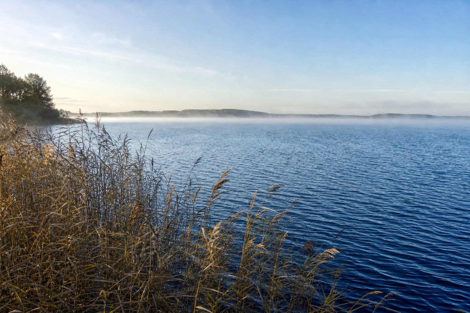 Morgenlicht über der Müritz mit Schilfgürtel und kühlem Nordhimmel